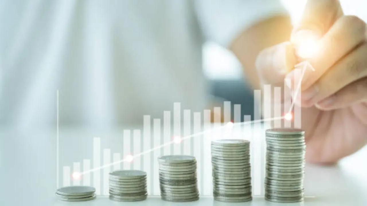 Investment: A beginner's guide to understanding this term Representational Image. File pic.